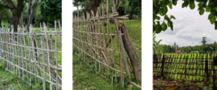Environmental feature 1
